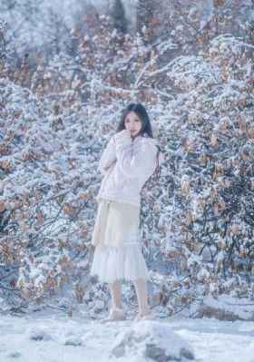 胜算电视剧免费完整版在线观看_1080P高清视频观看